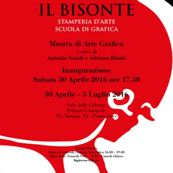 Il Bisonte